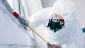 Pest Control for Hotels in Waterloo, IA